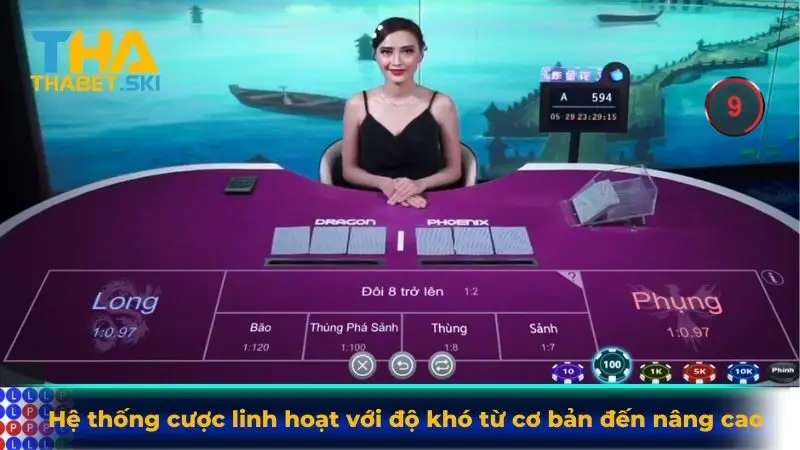 Hệ thống cược linh hoạt với độ khó từ cơ bản đến nâng cao