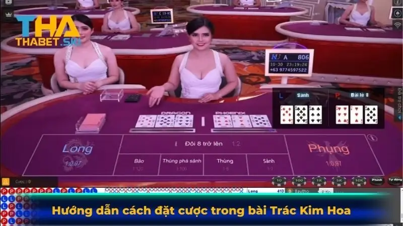 Hướng dẫn cách đặt cược trong bài Trác Kim Hoa