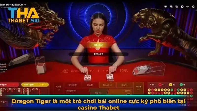 Dragon Tiger là một trò chơi bài online cực kỳ phổ biến tại casino Thabet