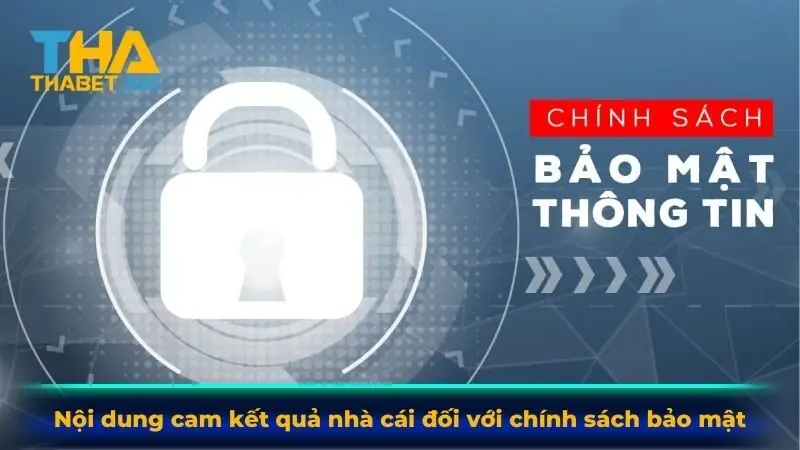 Nội dung cam kết quả nhà cái đối với chính sách bảo mật