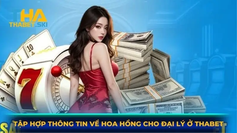 Tập hợp thông tin về hoa hồng cho đại lý ở Thabet