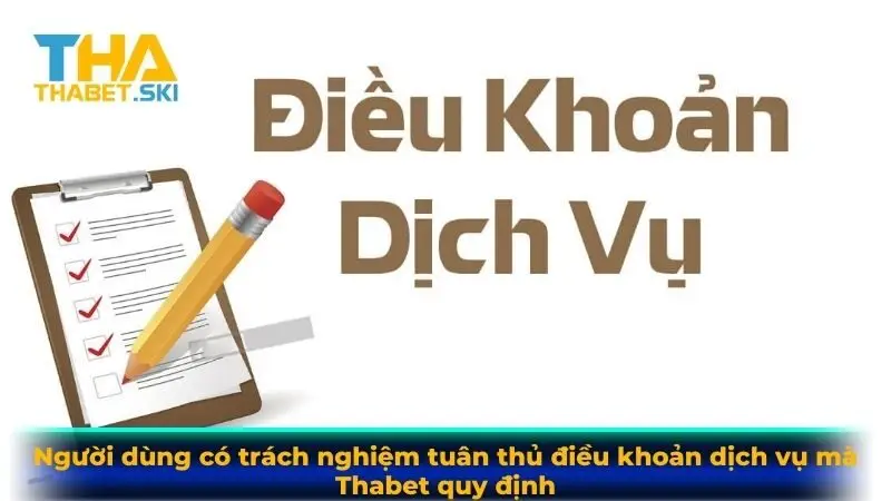 Người dùng có trách nghiệm tuân thủ điều khoản dịch vụ mà Thabet quy định