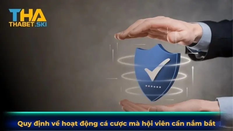 Quy định về hoạt động cá cược mà hội viên cần nắm bắt