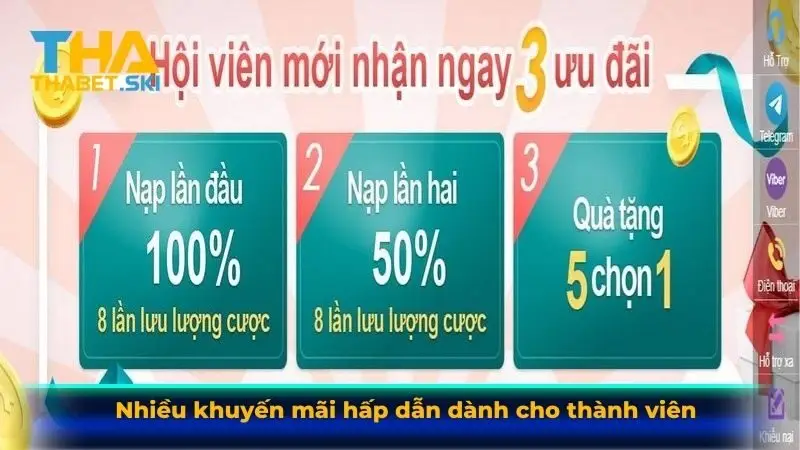 Nhiều khuyến mãi hấp dẫn dành cho thành viên