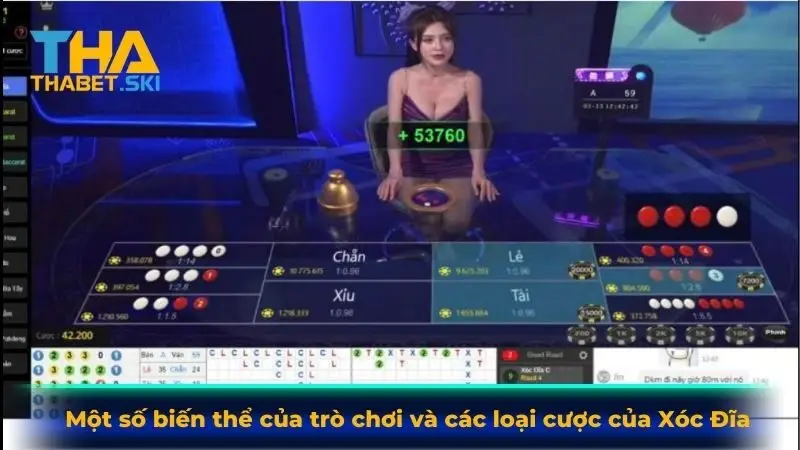 Một số biến thể của trò chơi và các loại cược của xóc đĩa