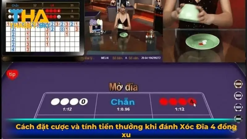 Cách đặt cược và tính tiền thưởng khi đánh xóc đĩa 4 đồng xu