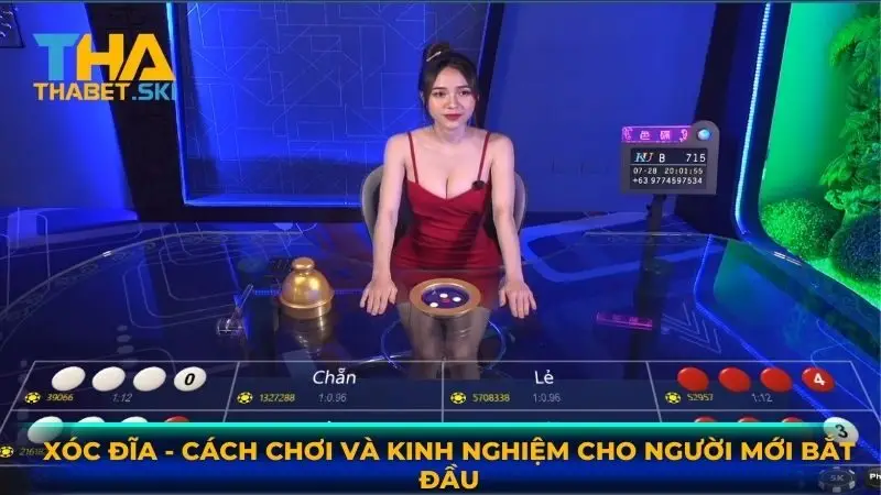 Xóc Đĩa